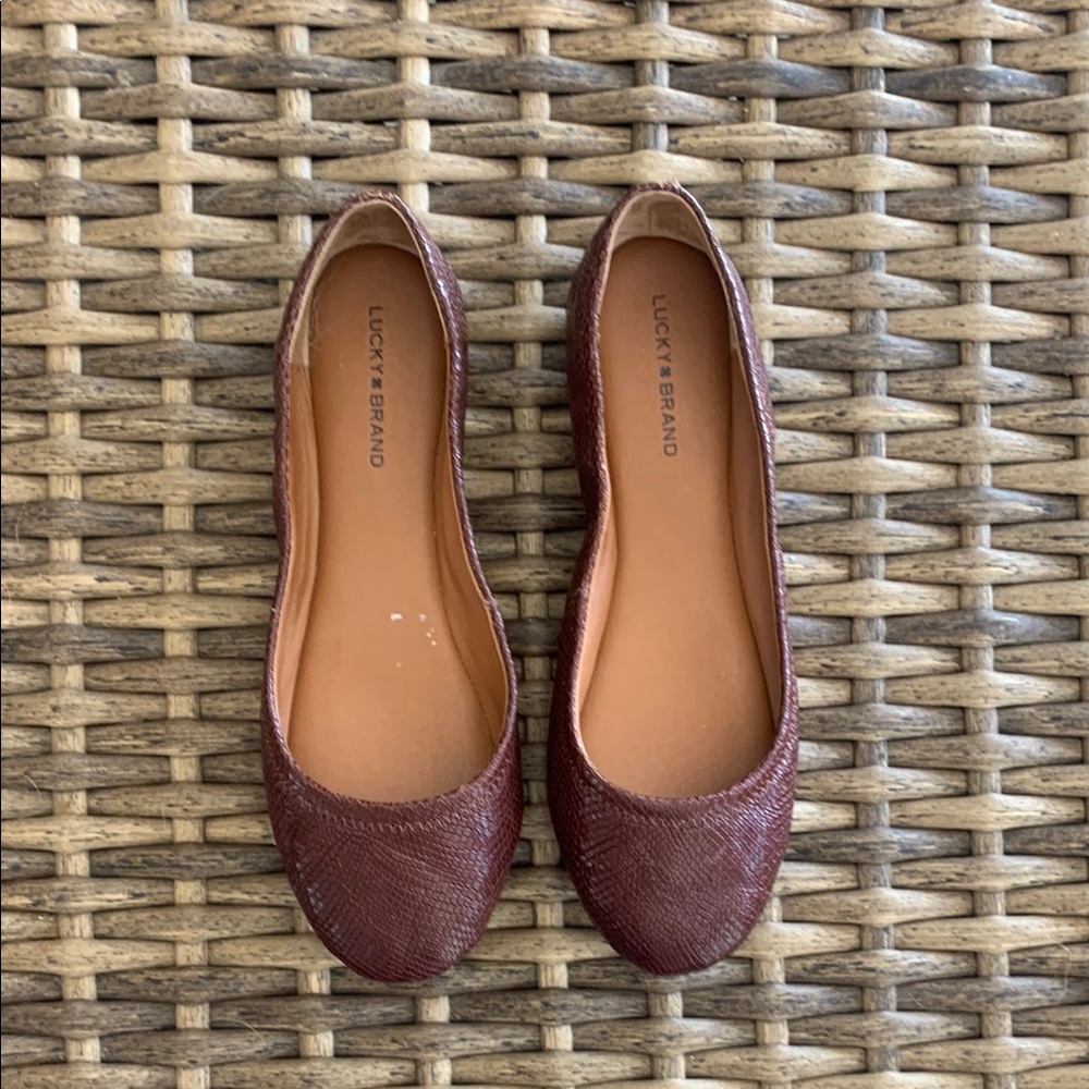 Lucky Brand Women's Brown Ballet Flats EUC 8